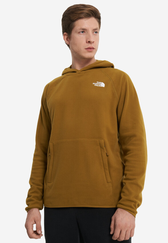Джемпер флисовый мужской The North Face 100 Glacier, Зеленый