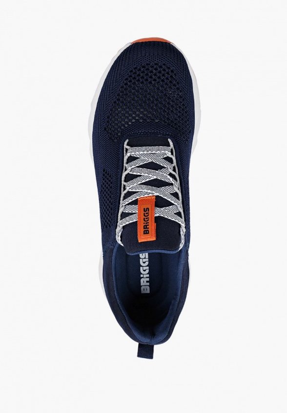 Кроссовки Briggs