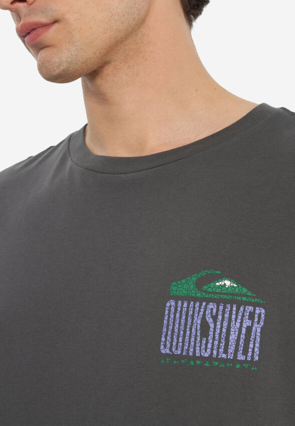 Футболка мужская оверсайз Quiksilver World Force, Серый