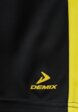 Шорты спортивные Demix3  - превью