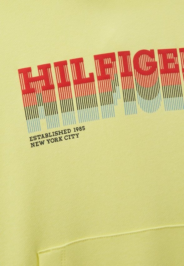 Худи Tommy Hilfiger
