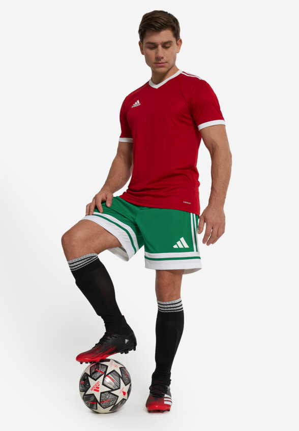 Шорты мужские adidas Squa25, Зеленый