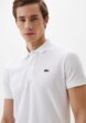 Поло Lacoste3  - превью