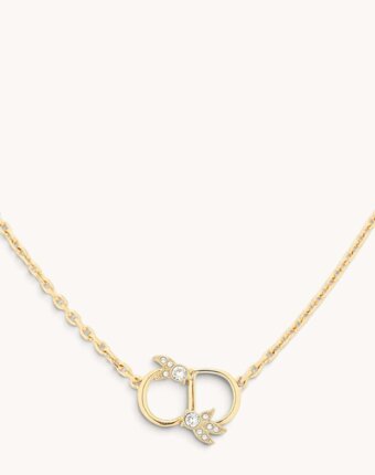 Dior Necklace женщинам