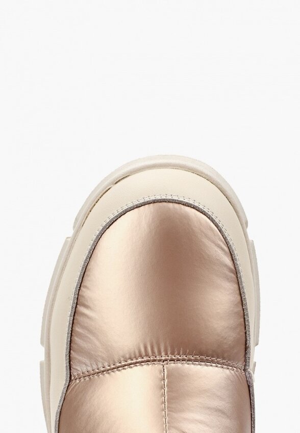 Дутики Ascalini