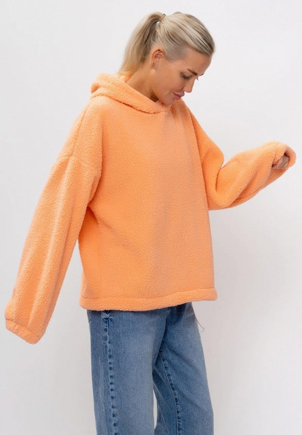 Толстовка Ptaxx