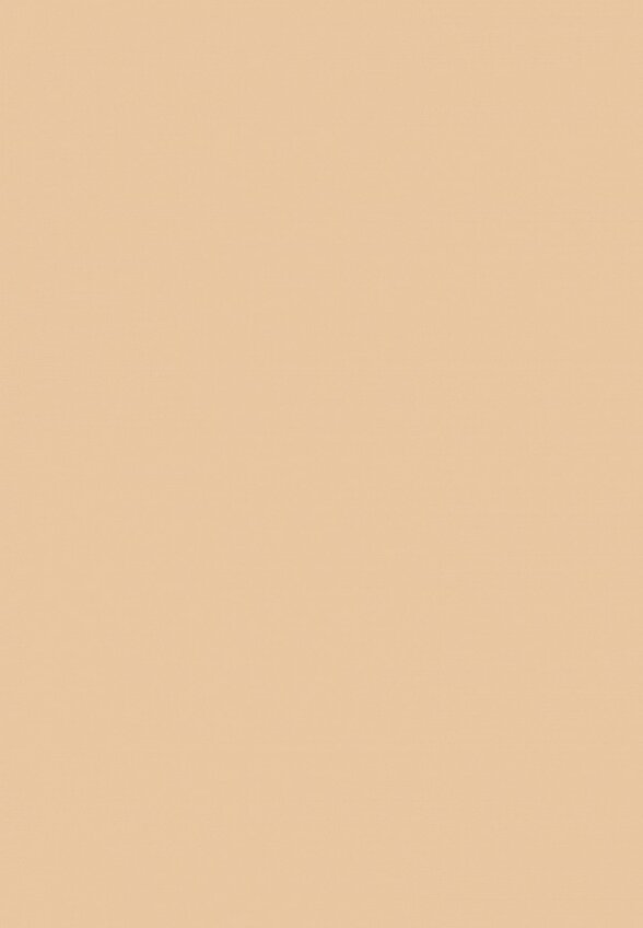 Пудра компактная Pupa