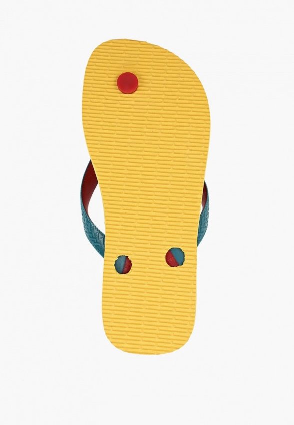 Сланцы Havaianas