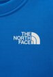 Свитшот The North Face3  - превью