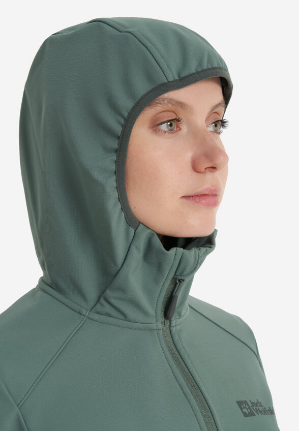 Куртка софтшелл женская Jack Wolfskin Bornberg, Зеленый