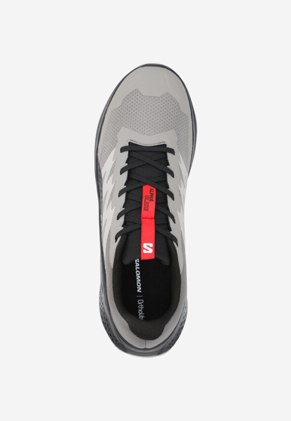 Кроссовки мужские Salomon Alphaglide, Серый