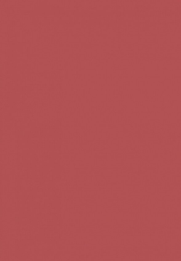 Помада жидкая Muzigae Mansion