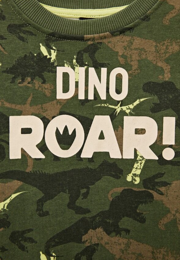 Свитшот Terranova