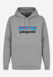 Худи мужское Patagonia Logo Uprisal, Серый8  - превью