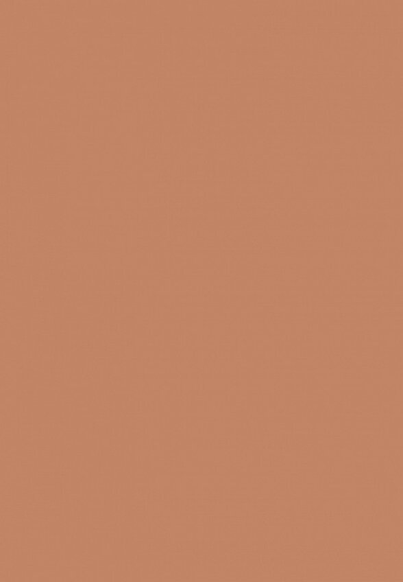 Пудра компактная Inglot