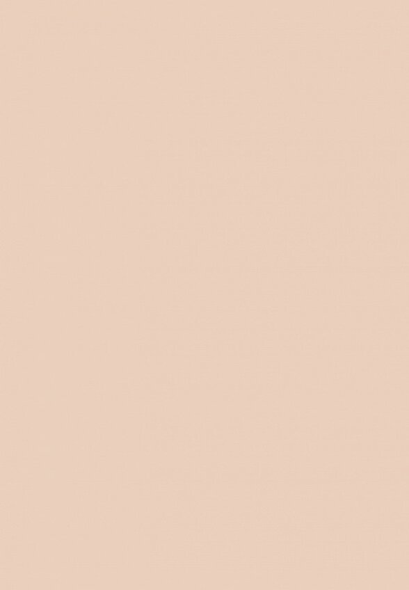 Пудра Eva Mosaic