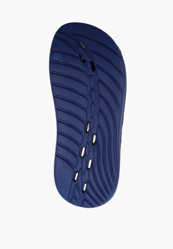 Сланцы Speedo