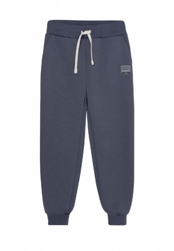 Брюки спортивные Bossa Nova