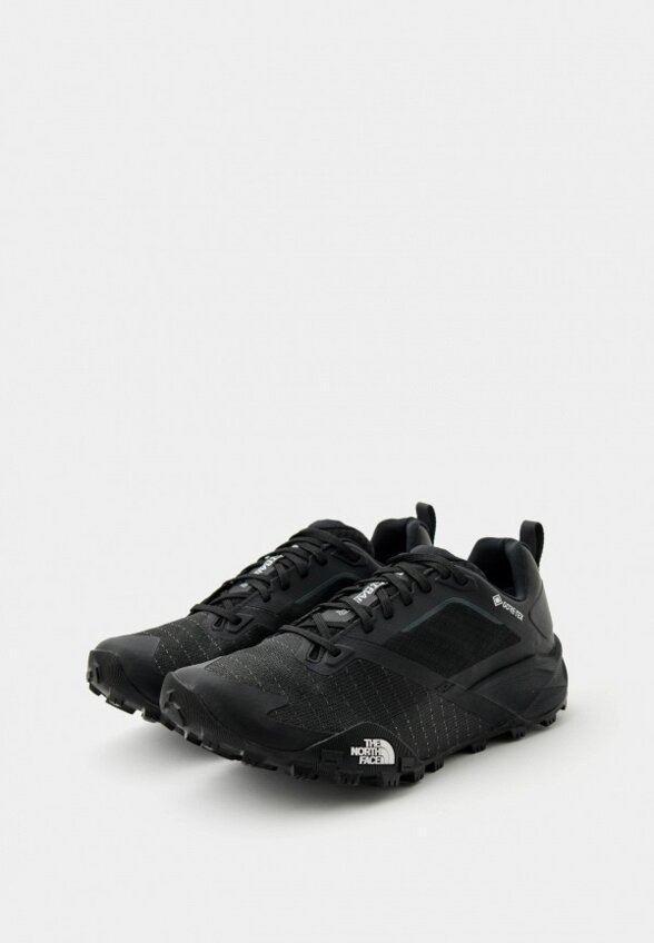 Кроссовки The North Face