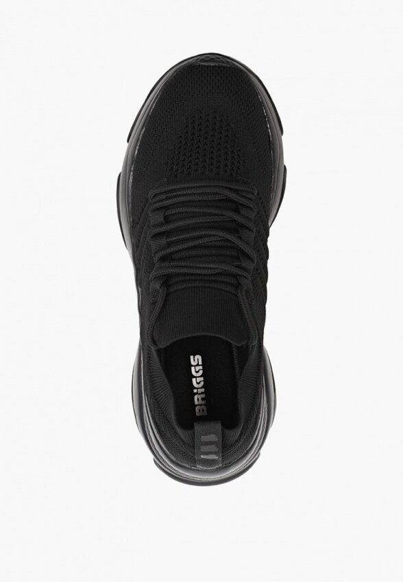 Кроссовки Briggs
