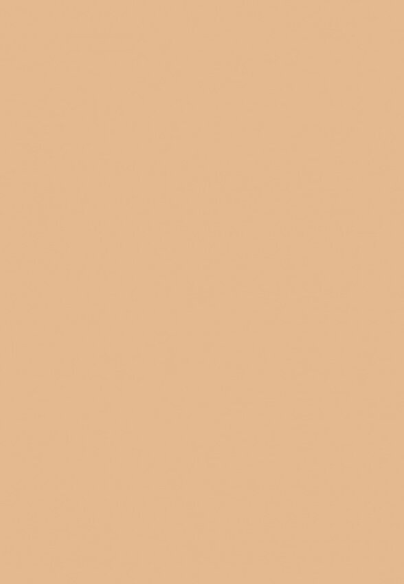 Кушон для лица Holika Holika