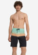 Шорты плавательные мужские Billabong Fifty50 Pro, Черный1  - превью