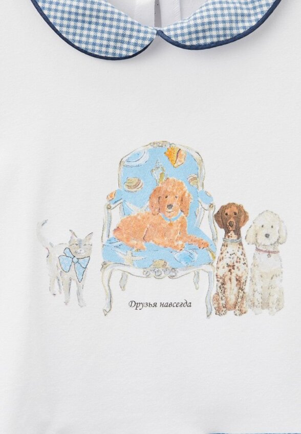 Блуза Карамелли