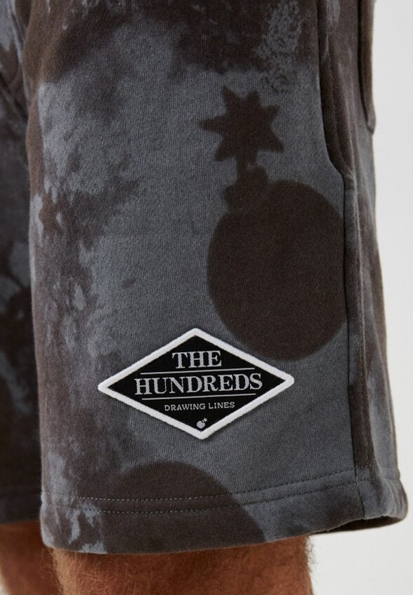 Шорты спортивные The Hundreds