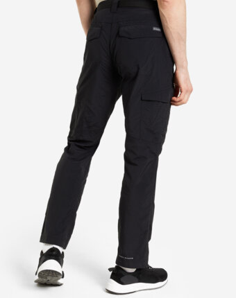 Брюки мужские Columbia Silver Ridge Cargo Pant, Черный женщинам