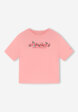 Футболка женская Columbia Rolling Bend Graphic Relaxed Crop SS, Розовый8  - превью