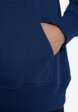 Худи мужское The North Face Raglan Box Nse, Синий6  - превью