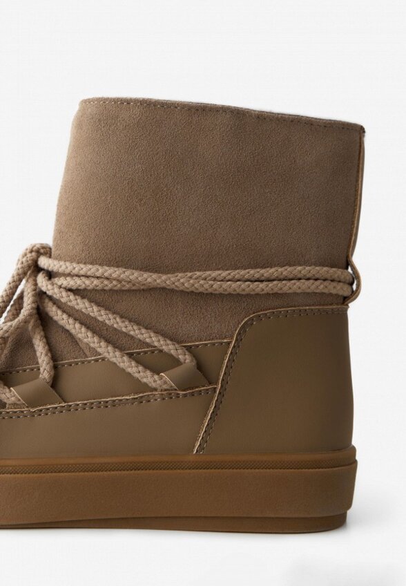 Луноходы Wysh