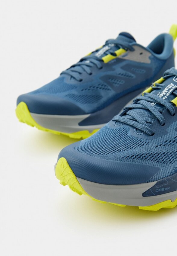 Кроссовки The North Face