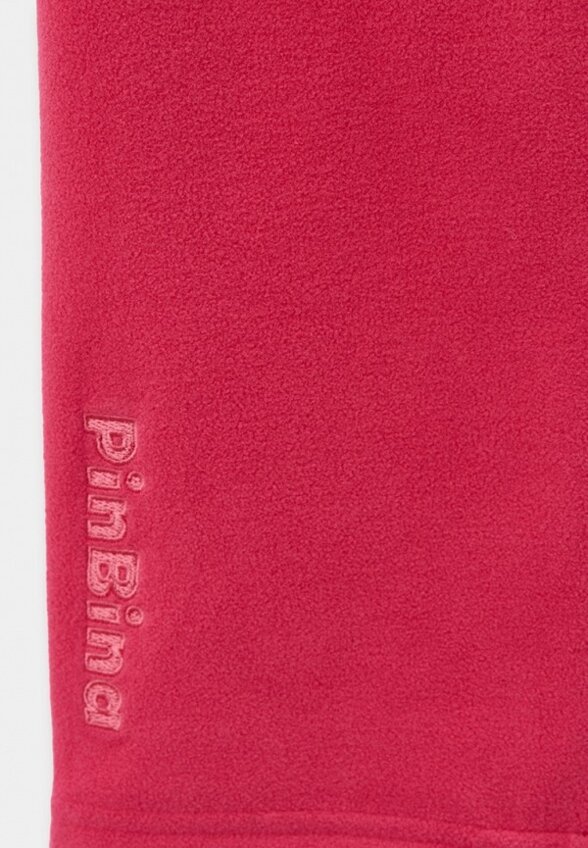 Брюки спортивные PinBina