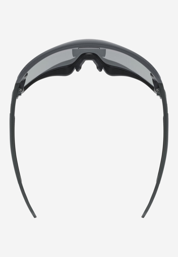 Солнцезащитные очки Uvex Sportstyle 231 2.0, Черный