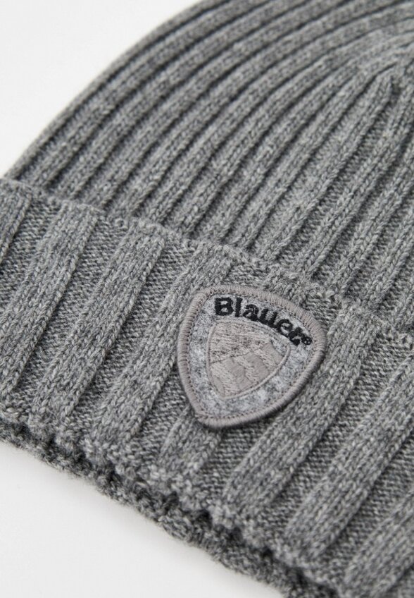 Шапка Blauer USA