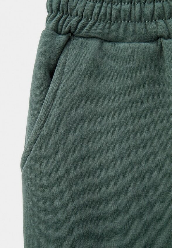 Брюки спортивные Pelican