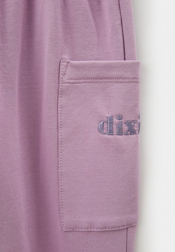 Брюки спортивные Dixie
