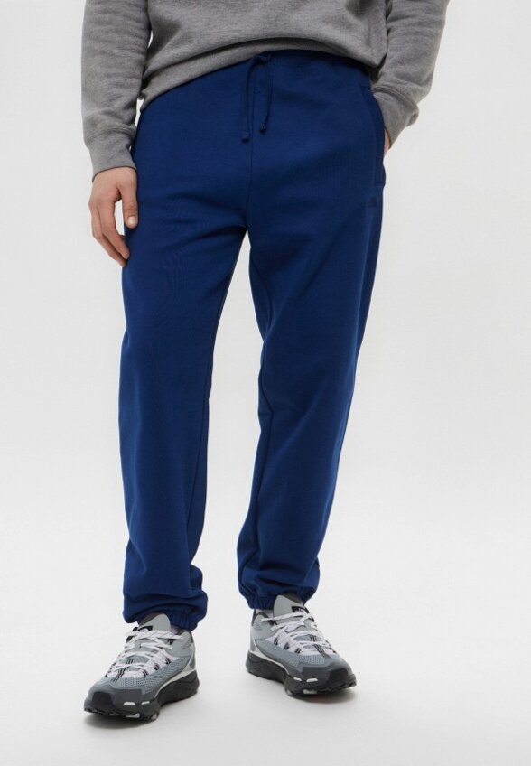 Брюки спортивные The North Face