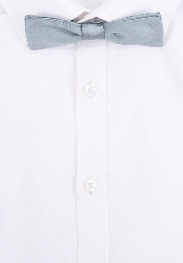 Бабочка Dolce&Gabbana