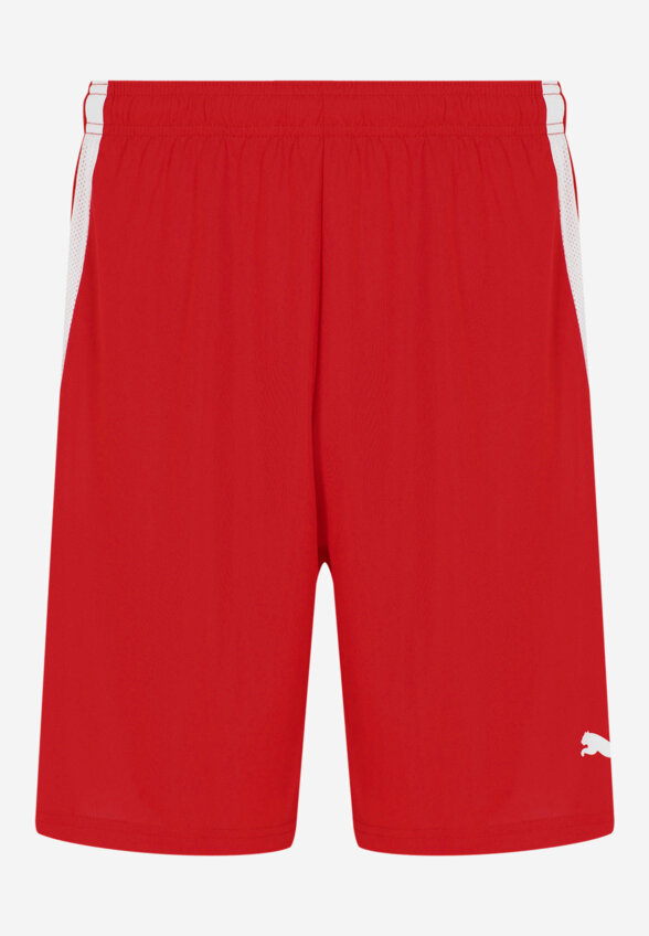 Шорты мужские PUMA teamLIGA, Красный