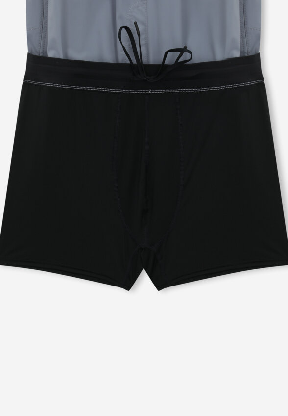 Шорты плавательные мужские Speedo Solid, Серый