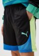 Шорты спортивные PUMA4  - превью