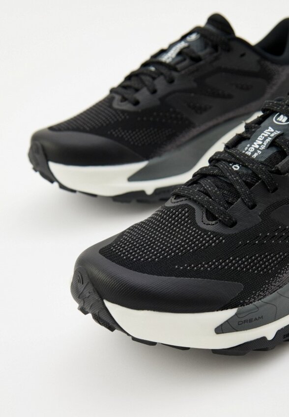 Кроссовки The North Face