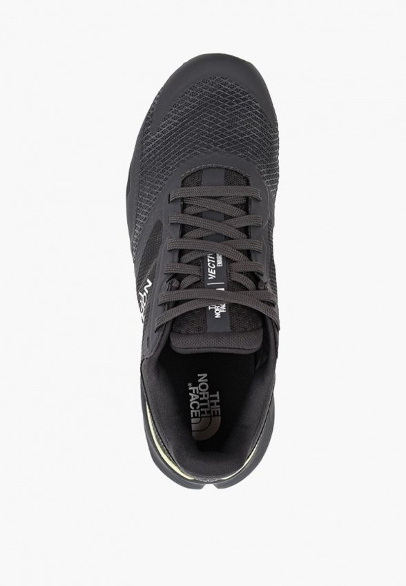 Кроссовки The North Face