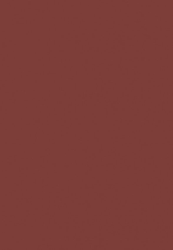 Помада жидкая Muzigae Mansion