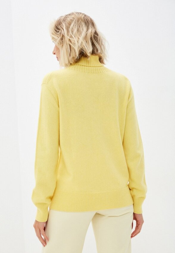 Водолазка Norveg