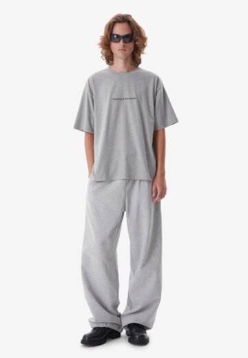 Футболка Attitude era Grey Melange FABLE