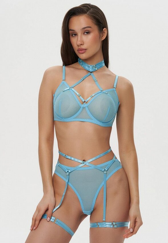 Бюстгальтер, пояс и трусы Amazonka Underwear