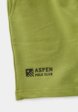 Шорты спортивные Aspen Polo Club3  - превью